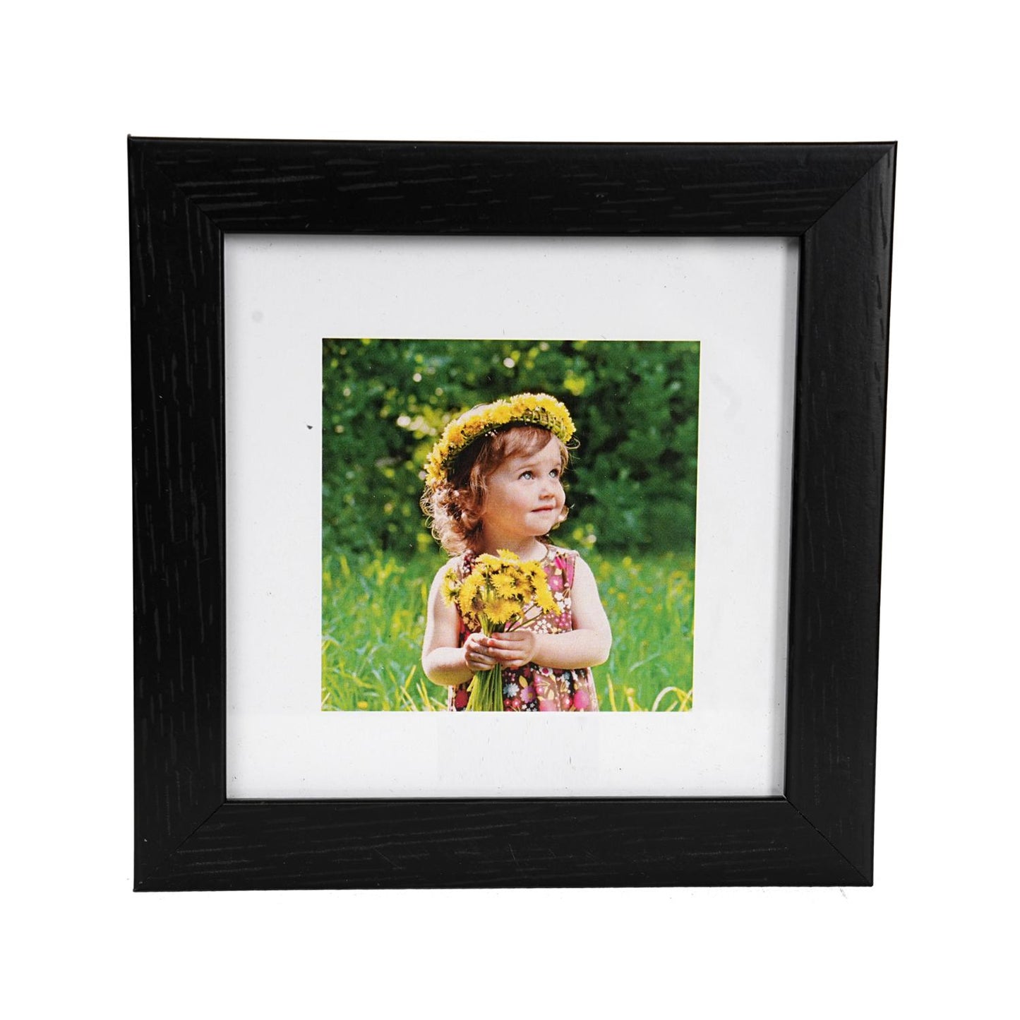 Color Frame Pack of 7 – A Burst of Color for Your Cherished Memories