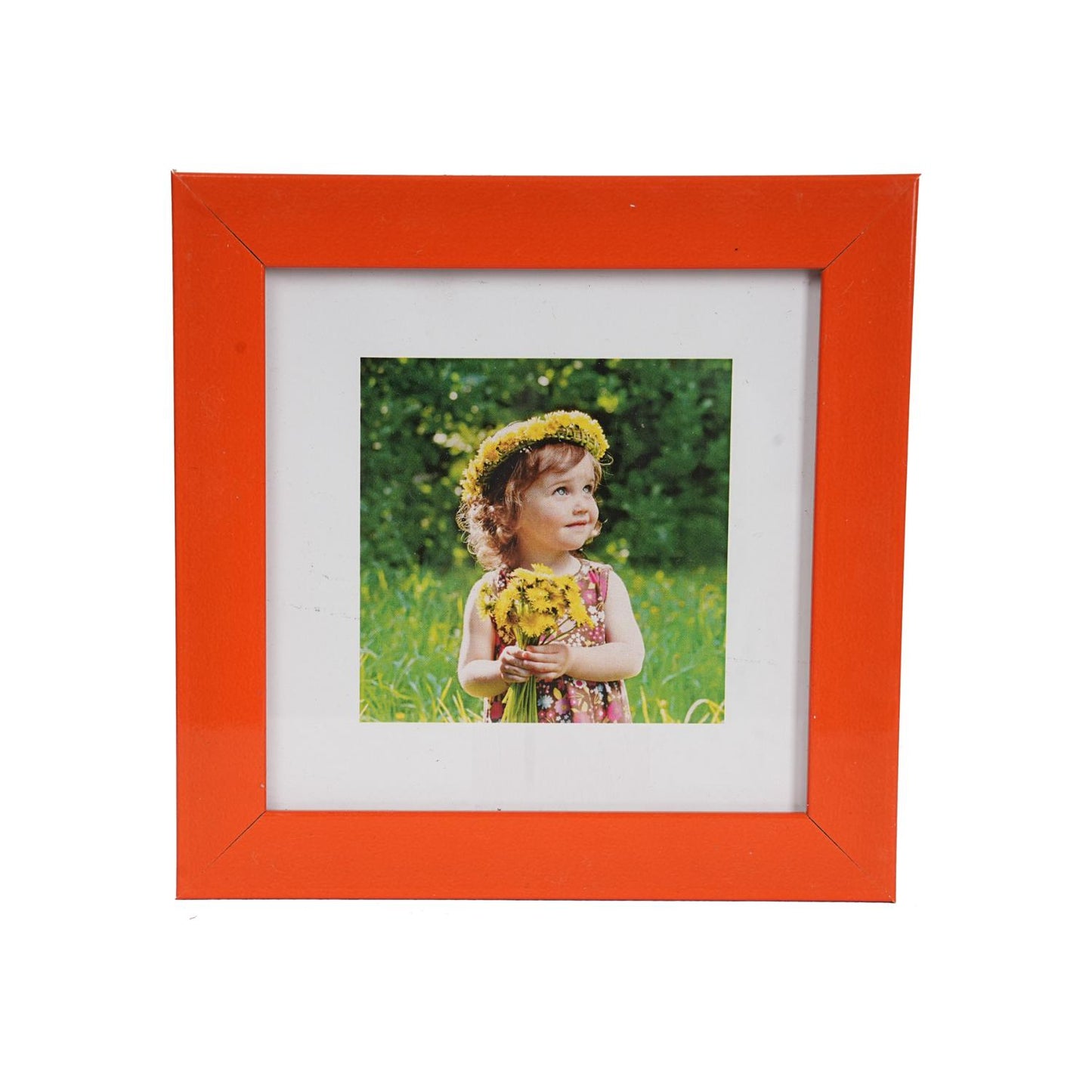 Color Frame Pack of 7 – A Burst of Color for Your Cherished Memories