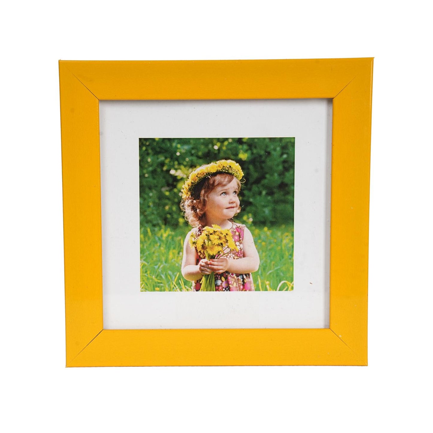 Color Frame Pack of 7 – A Burst of Color for Your Cherished Memories